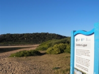 Narabeen Lagoon