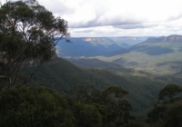 Blue Mountains canyon