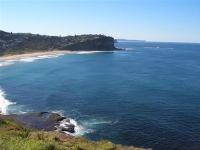 Bungan Beach looking North