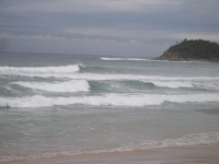 Manly Beach