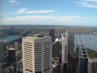 From tower looking north