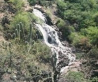 Springs outside the city of Catamarca