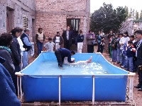 Baptism in Pituil