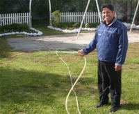 Pastor Alfredo