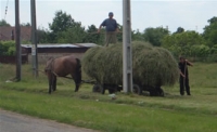 Typical scene in the Romanian countryside