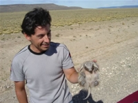 Marcello vs. the Armadillo